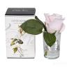96СN-R46 Диффуз.Rose Bud French Pink,спрей White Gardenia 5мл уп