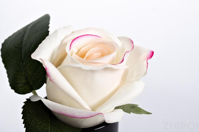 96СN-RB42 Диффузор Rose Bud Pink, спрей Rose Petal 5мл в упак.