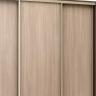 Шкаф-купе Стандарт ЛДСП 3 ясень шимо темный BRN_1001