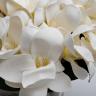 96CN-RG0005 Диффузор Magnolia white , спрей Winter in Chatou 2*10 ml в упак.
