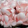 96CN-RG0002 Диффузор Magnolia pink , спрей Winter in Chatou 10ml + спрей Charente rose 10ml в упак.