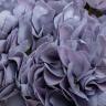 96CN-RB0050 Диффузор Hydrangea&Rosebud blue , спрей Winter in Chatou 2*10 ml в упак.