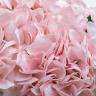 96CN-RB0020 Диффузор Hydrangea&Rosebud pink , спрей Eau de vie 2*10ml в упак.